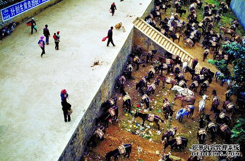 山间铃响马帮来