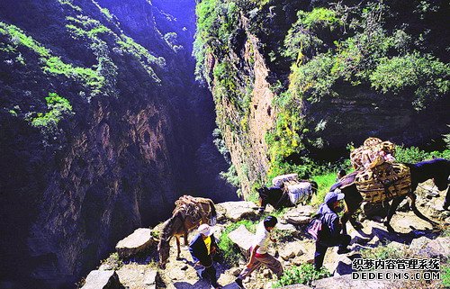 山间铃响马帮来