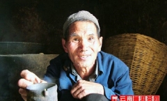 老仓福德古茶山