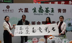 七彩云南“六星茶王大饼”拍卖圆满举行