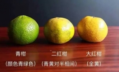 ̺СնĸãС̵̺