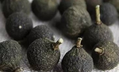 全方位解密新会柑胎——陈皮界的新贵普洱茶