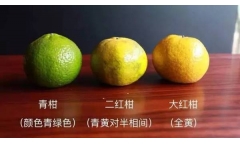 ն֮˼è֡鵶Ҫ죬Ҫ