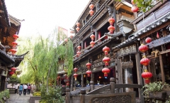 熟茶 喝一段温柔时光